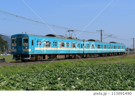 103系1500番台E12編成復刻色とキャベツ畑 筑肥線 103系1500番台E12編成復刻色とキャベツ畑 筑肥線 113091490