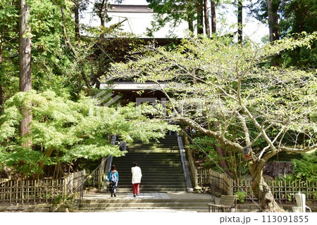 鎌倉市　円覚寺の山門と深緑 113091855