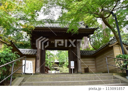 鎌倉市　円覚寺の総門と深緑 113091857