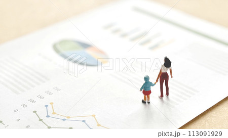 グラフの入った資料と女性と女の子の小物 113091929