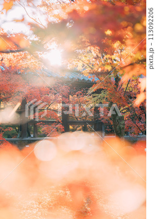 紅葉に包まれた秋のお寺 紅葉に包まれた秋のお寺 113092206