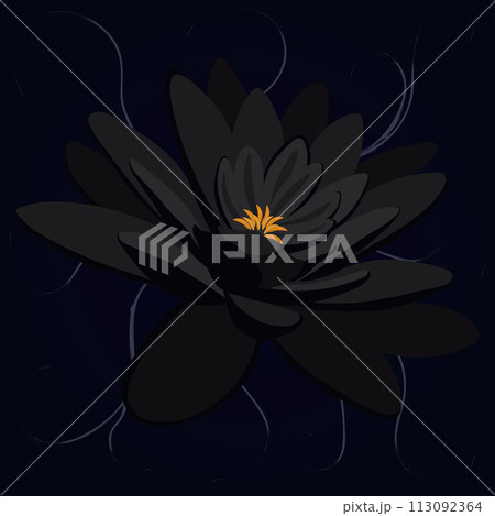 Black water lily artistic vector illustration 113092364