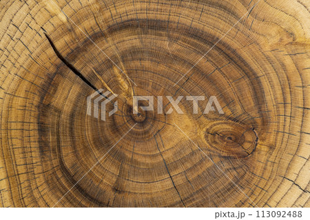 a beautiful cut of a walnut tree processed for decoration and use a beautiful cut of a walnut tree processed for decoration and use 113092488