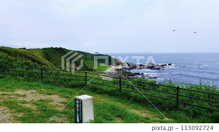 神奈川県三浦市城ケ島ハイキングコースから見える海の風景 113092724
