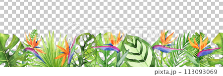 Seamless border with tropical leaves and flowers isolated on white background. Strelitzia flower. Watercolor hand drawn illustration. Perfect for print and decoration. 113093069