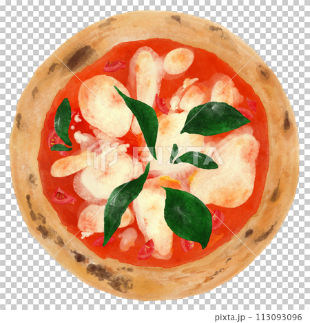 Margherita pizza 113093096