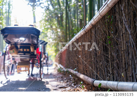 京都府 嵐山の竹林と人力車 京都府 嵐山の竹林と人力車 113093135