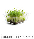 A glass dish filled with microgreens, captured with a soft, warm light to create a cozy atmosphere. The 113093205