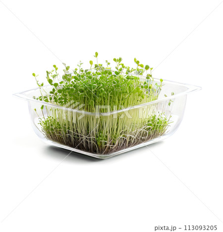 A glass dish filled with microgreens, captured with a soft, warm light to create a cozy atmosphere. The A glass dish filled with microgreens, captured with a soft, warm light to create a cozy atmosphere. The 113093205