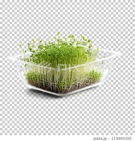 A glass dish filled with microgreens, captured with a soft, warm light to create a cozy atmosphere. The A glass dish filled with microgreens, captured with a soft, warm light to create a cozy atmosphere. The 113093205