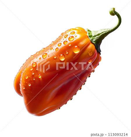 A close-up shot of a single orange Caribbean Red Habanero pepper, with water droplets A close-up shot of a single orange Caribbean Red Habanero pepper, with water droplets 113093214