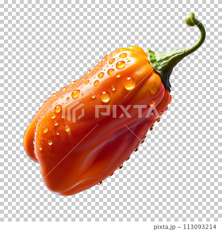 A close-up shot of a single orange Caribbean Red Habanero pepper, with water droplets A close-up shot of a single orange Caribbean Red Habanero pepper, with water droplets 113093214