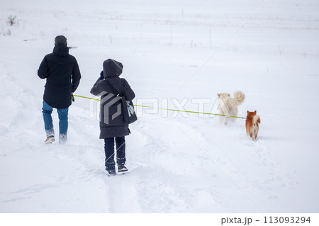 A man and a woman walk with their dogs in the snow on a winter day 113093294