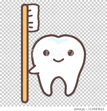 歯ブラシと歯 歯ブラシと歯 113093622