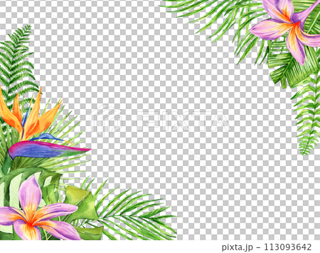 Tropical flowers and leaves frame. Watercolor exotic floral illustration. Botanical palm leaves, monstera. Template for packaging, greeting cards, wedding invitation 113093642