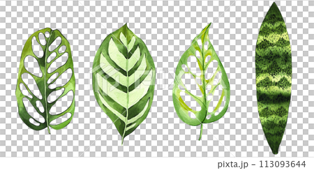 Watercolor hand drawn tropical leaves bundle. Exotic botanical illustration. Floral clipart set. Perfect for invitation, greeting cards, packaging, scrapbooking 113093644