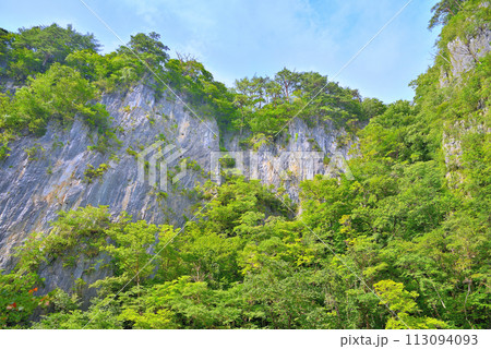 東北・猊鼻渓・舟下り・終点の船着き場の対岸より眺める馬髭岩・岩手県一関市(5) 東北・猊鼻渓・舟下り・終点の船着き場の対岸より眺める馬髭岩・岩手県一関市(5) 113094093