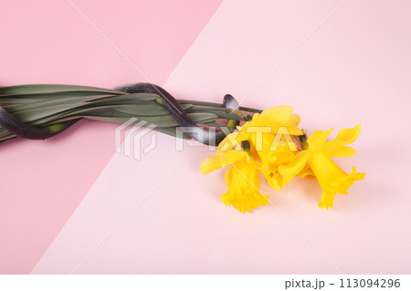a plastic snake wrapped around a bouquet of daffodils 113094296
