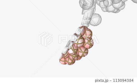 The bottom of the chest cavity is formed by the diaphragm. How Does Oxygen The bottom of the chest cavity is formed by the diaphragm. How Does Oxygen 113094384