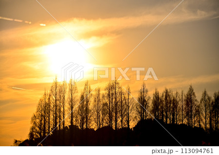 夕景素材 夕景素材 113094761