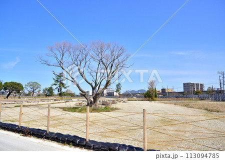九州大学箱崎キャンパス跡地　九大跡地　再開発計画　広大な空地 113094785