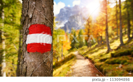 Red and White Trail Sign on a Tree Trunk - Mountain Path - Generative Ai 113094898