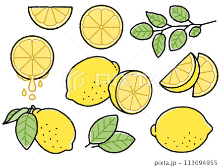 レモンのイラスト 113094955