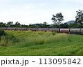 草原を走るキュランダ鉄道 113095842