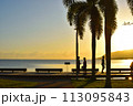 海辺で散歩する人々 113095843