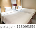 ホテルの客室イメージ 113095859