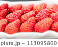 おいしいイチゴ 113095860