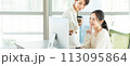 オフィスで仕事を教えるビジネスウーマン 113095864