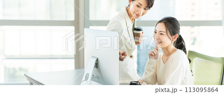 オフィスで仕事を教えるビジネスウーマン オフィスで仕事を教えるビジネスウーマン 113095864
