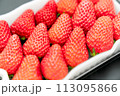 おいしいイチゴ 113095866