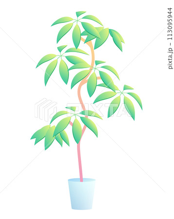 グラデーションのかかったツピダンサスのイラスト_シェフレラ_植木鉢 グラデーションのかかったツピダンサスのイラスト_シェフレラ_植木鉢 113095944