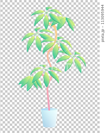 グラデーションのかかったツピダンサスのイラスト_シェフレラ_植木鉢 グラデーションのかかったツピダンサスのイラスト_シェフレラ_植木鉢 113095944