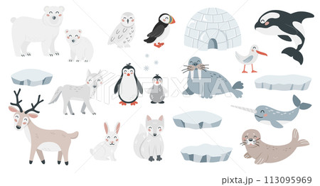 Set of cute arctic animals in flat cartoon style. Wild polar fauna design elements for printing, poster, card. Vector illustration 113095969