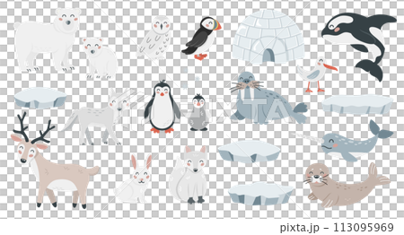 Set of cute arctic animals in flat cartoon style. Wild polar fauna design elements for printing, poster, card. Vector illustration 113095969