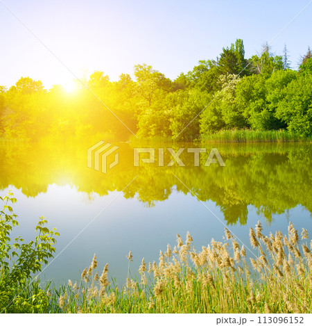 Landscape with a beautiful sunrise on a lake. Beautiful summer landscape. Landscape with a beautiful sunrise on a lake. Beautiful summer landscape. 113096152