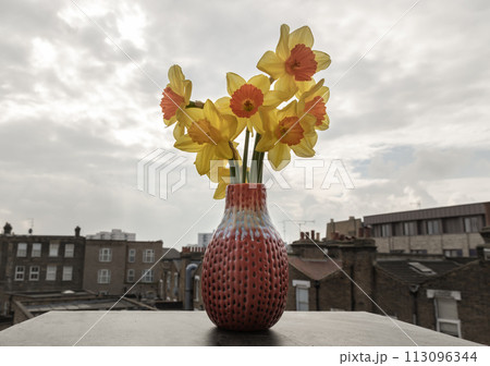 Bunch of daffodils in a red ceramic vase on the terrace with sky background. Bunch of daffodils in a red ceramic vase on the terrace with sky background. 113096344
