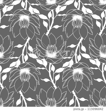 simple graphic seamless pattern of white magnolia flowers on a gray background, texture 113096842