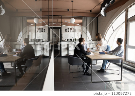 Young project leader woman talking to diverse team at meeting 113097275