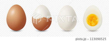 Vector 3d Realistic Brown Chicken Eggs. Textured Whole, Cracked Broken, Peeled Boiled Chicken Egg, Hard-Boiled Chicken Egg With Yolk Closeup Isolated. Eggs Isolated. Whole, Cut in Half Egg, Front View 113098525