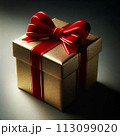 プレゼントのイメージ 113099020