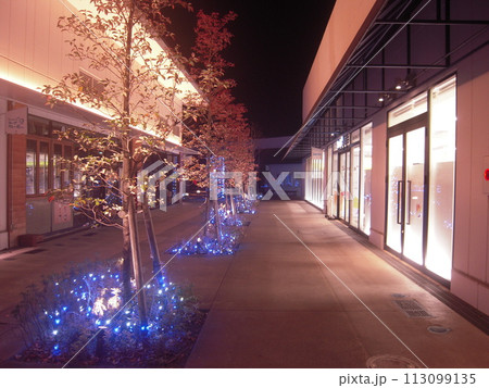 風景写真 横浜南部市場 夜の南部市場 風景写真 横浜南部市場 夜の南部市場 113099135