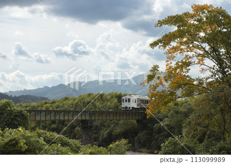 紅葉した大木と広渡川に架かる鉄橋を渡る日南線特急「海幸山幸」 113099989