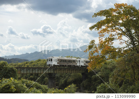 紅葉した大木と広渡川に架かる鉄橋を渡る日南線特急「海幸山幸」 113099990