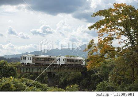 紅葉した大木と広渡川に架かる鉄橋を渡る日南線特急「海幸山幸」 紅葉した大木と広渡川に架かる鉄橋を渡る日南線特急「海幸山幸」 113099991