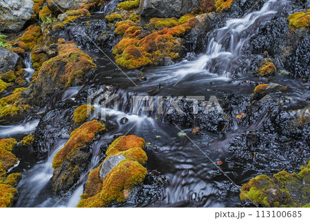 北海道/ 世界唯一！マンガン酸化物生成現象が地上で唯一確認できる貴重な場所「オンネトー湯の滝」 113100685