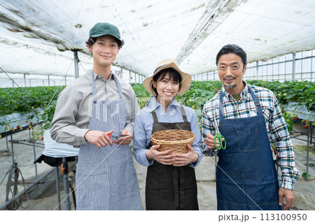 ビニールハウスで作業をする生産者 113100950